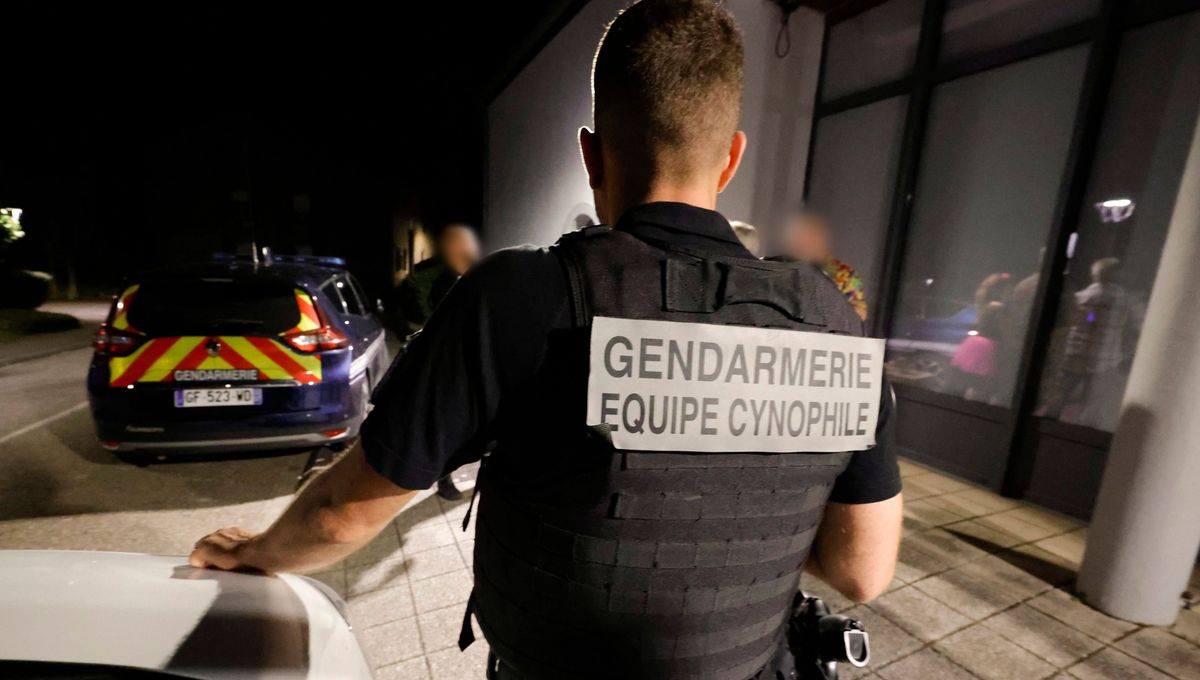 La débâcle d’un réseau de drogue ultraviolent dans la Haute-Savoie : 9 personnes en prison pour un trafic de 1,3 million d’euros par an