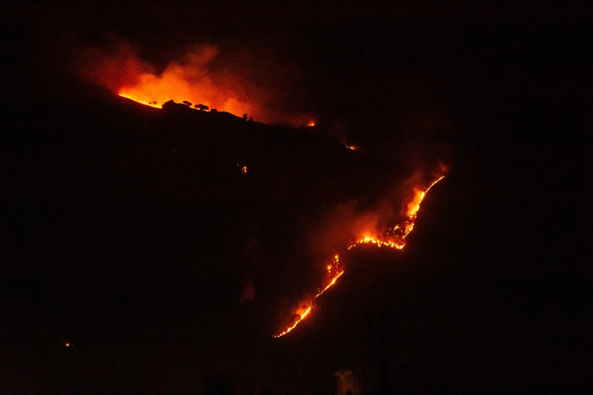 CORSICA EN FLAMMES : DEUX INCENDIES DÉVASTATEURS S’ALLUMENT DANS LE NORD DE L’ÎLE